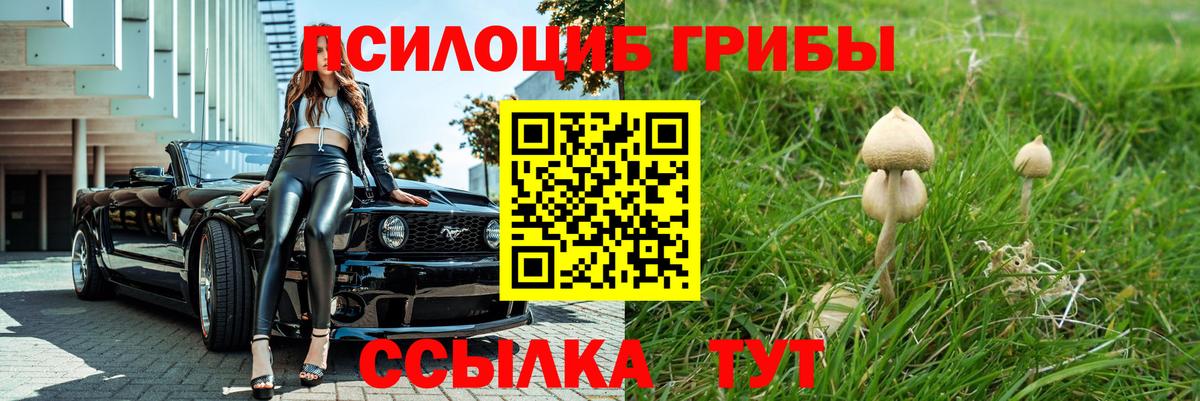 Галлюциногенные грибы MAGIC MUSHROOMS  Вход с VPN  Новодвинск 