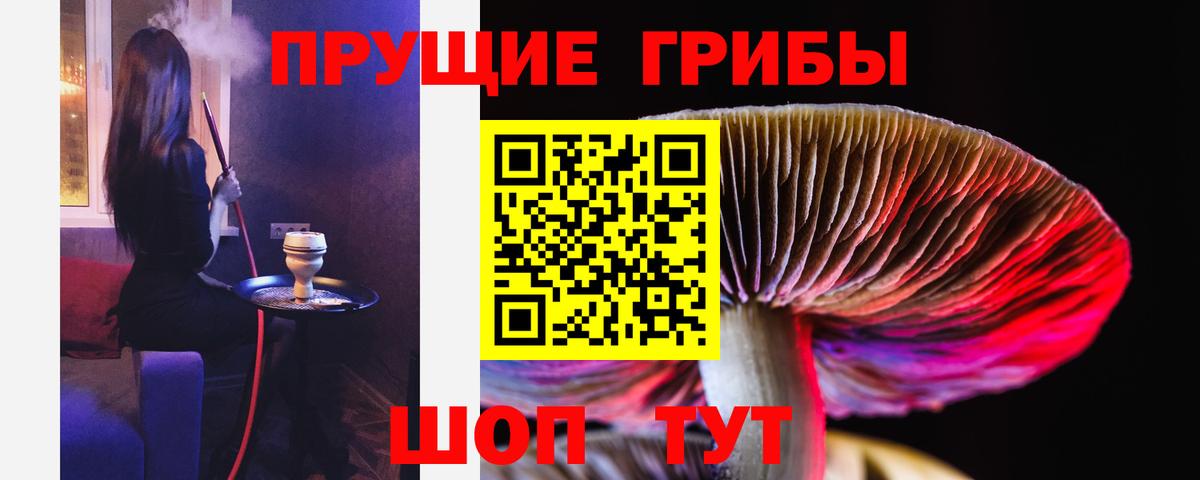 Псилоцибиновые грибы прущие грибы Новодвинск